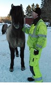 Birk från Gröna Gången